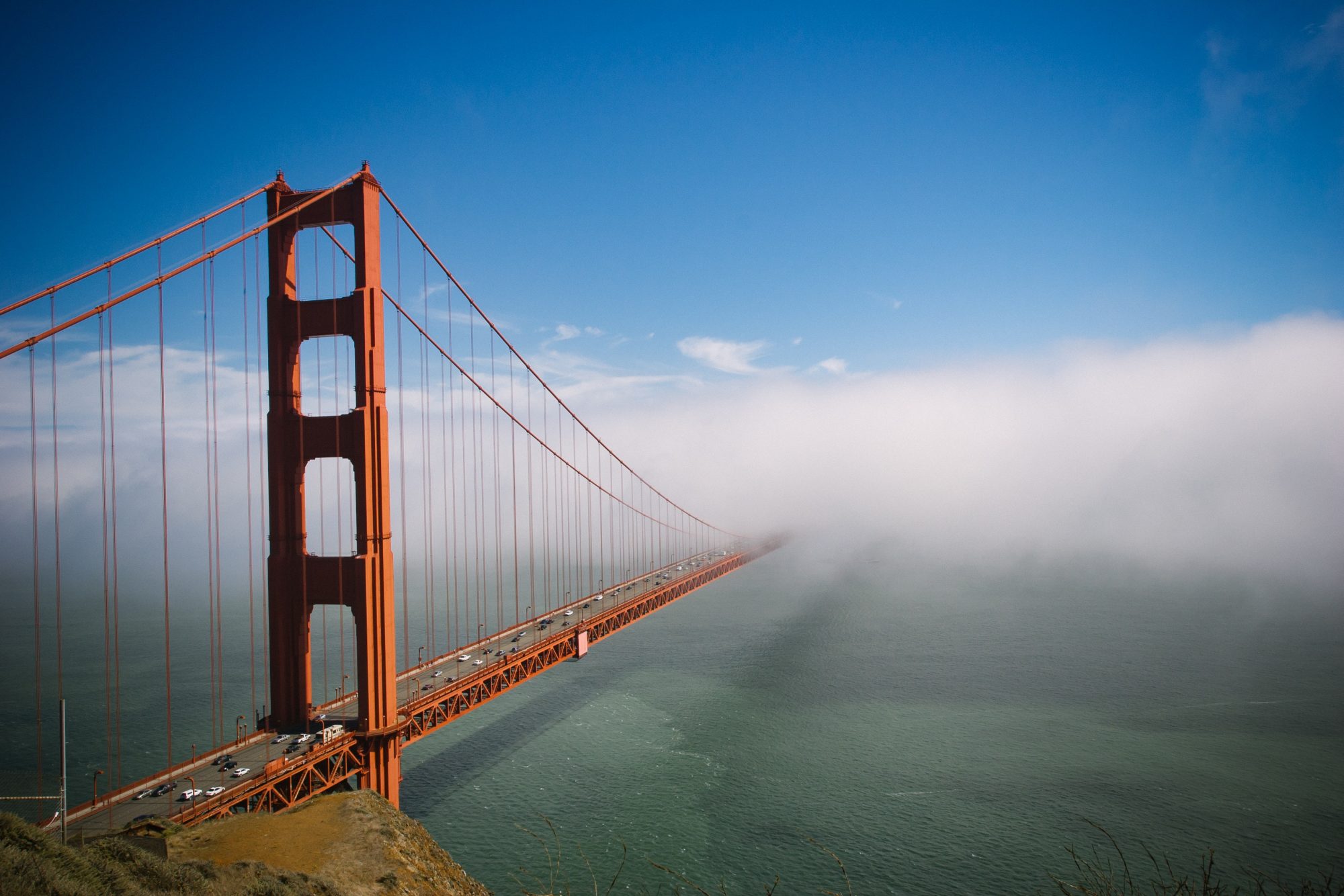 beach-blue-bridge-281184